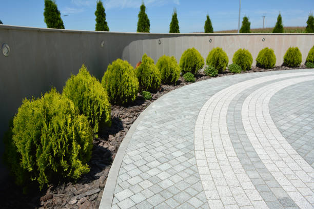 Best Residential Paver Driveway  in Fulda, MN